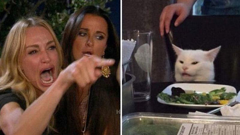 Woman Yelling at a Cat Meme - Image 2