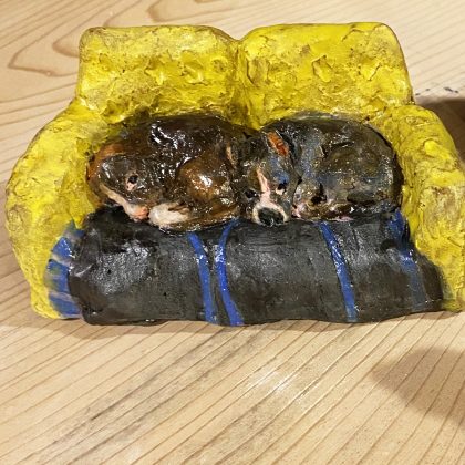 Pet Project – Tofu and Friends